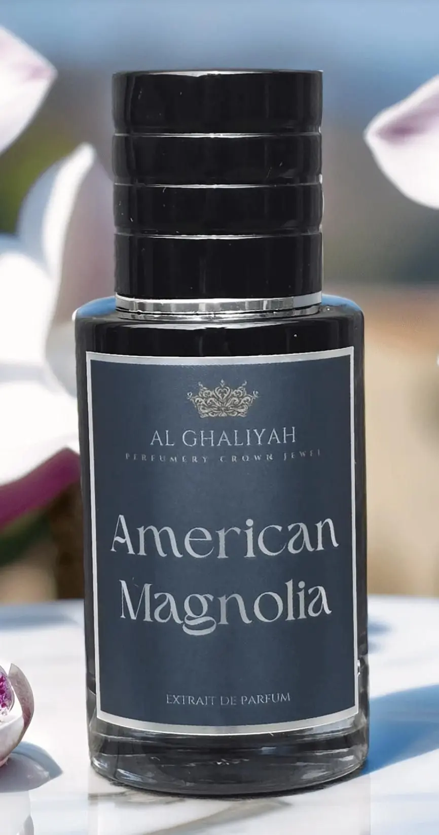American Magnolia