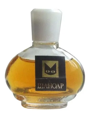 Chat Noir