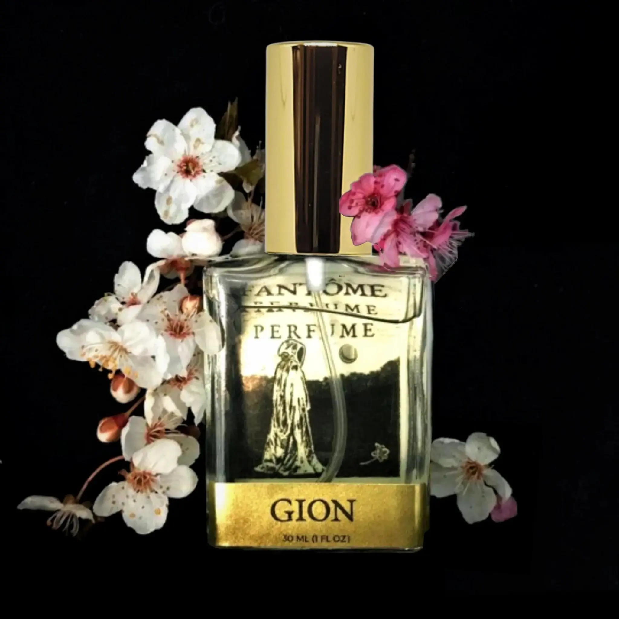 Gion