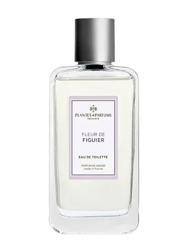 Fleur de Figuier