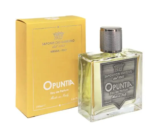 Opuntia