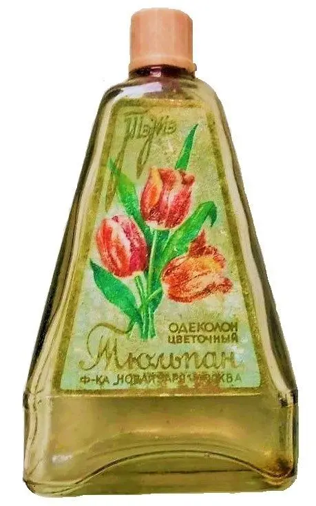 Тюльпан