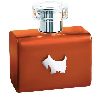 Terrier Orange