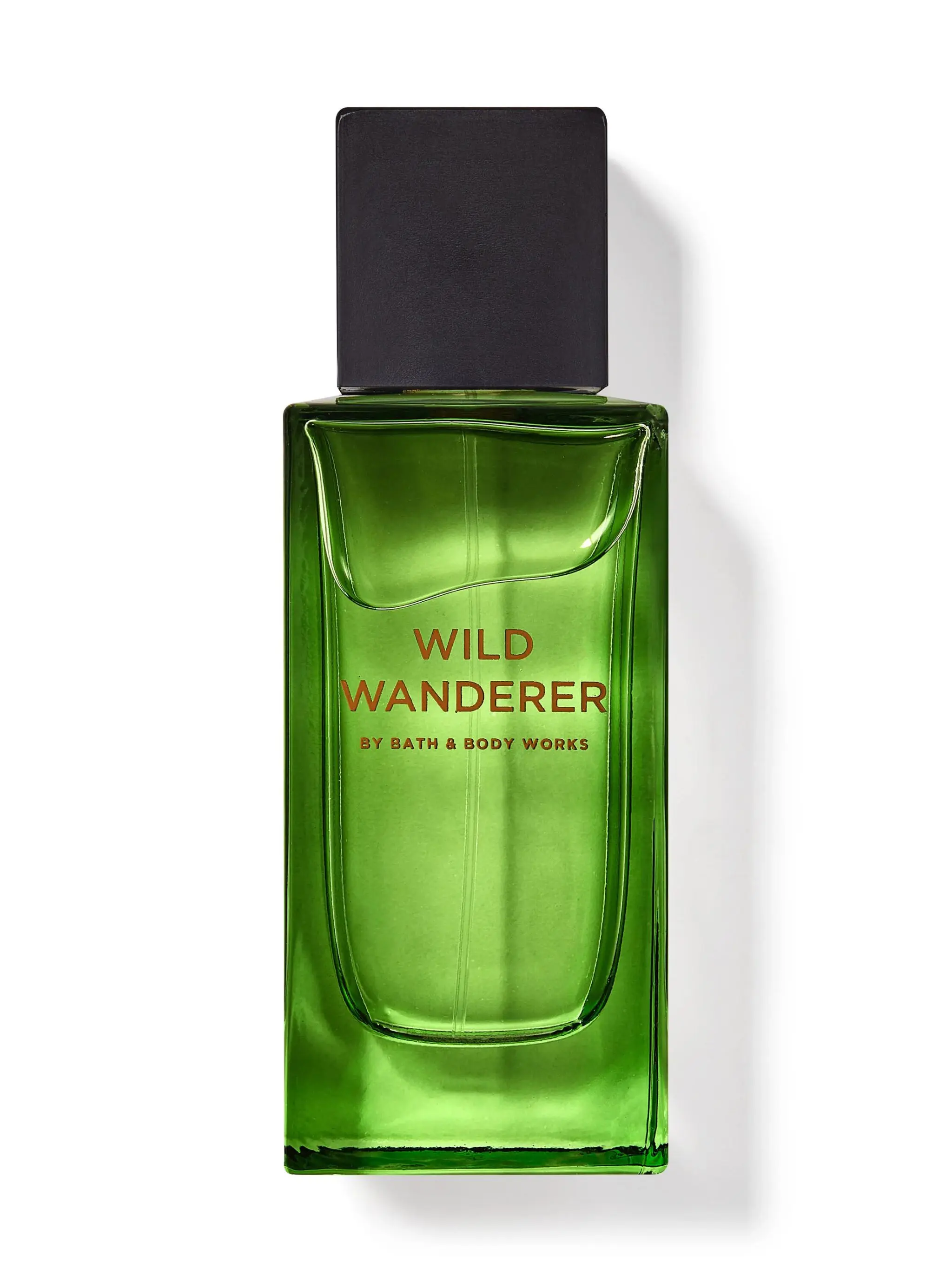 Wild Wanderer